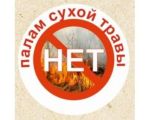 палам нет