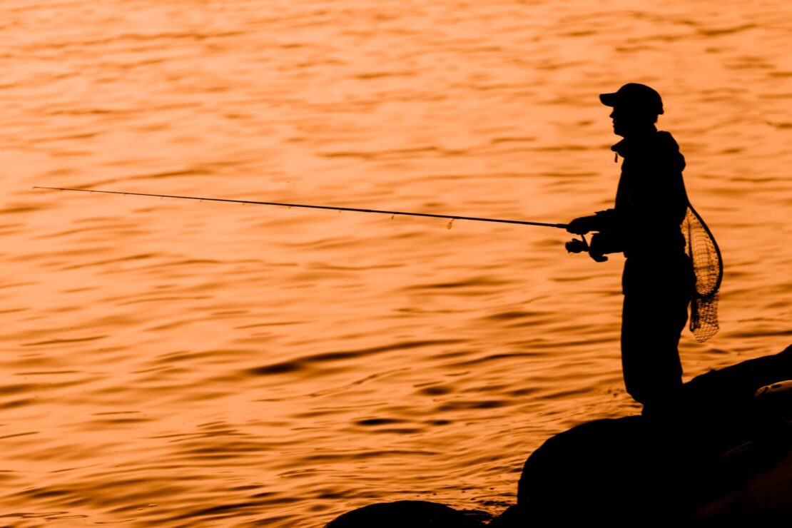 Для любителей рыбной ловли: запрет на сига и ряпушку и сведения о промысловых мерах