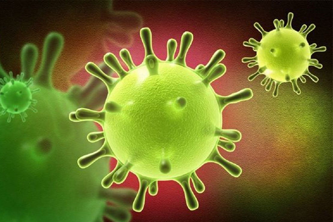Эксперты ВОЗ прибыли в Китай исследовать происхождение коронавируса