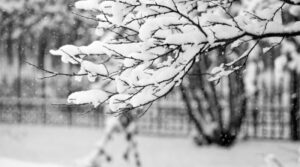 Наперадзе — невялікі мароз і снег