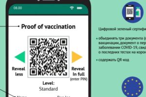 Как будет выглядеть цифровой сертификат вакцинации ЕС? Инфографика
