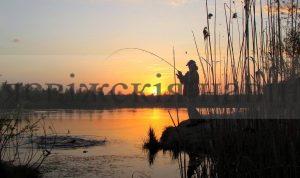 Вступает в силу новая редакция Правил любительского и спортивного рыболовства Беларуси