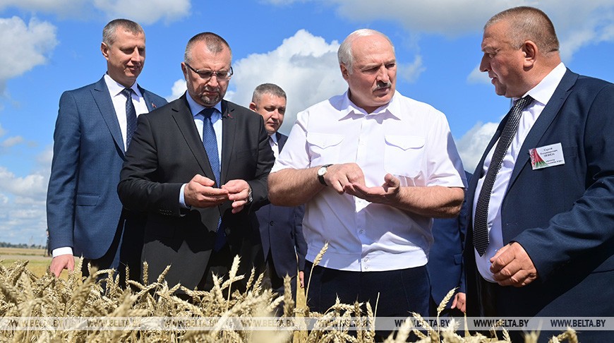 “Надо развивать свое, и это должно быть на контроле”. Лукашенко начал серию региональных поездок по сельхозтематике