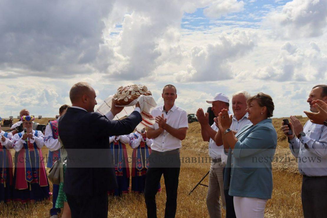 Несвижский район первый в Минской области намолотил 100 тысяч тонн зерна