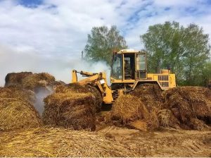 В полях Несвижского и Минского районов сгорело 53 тонны соломы — ущерб составил более 1 500 рублей
