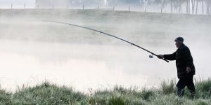 В Беларуси с 1 октября вводится запрет лова всех видов рыб на зимовальных ямах