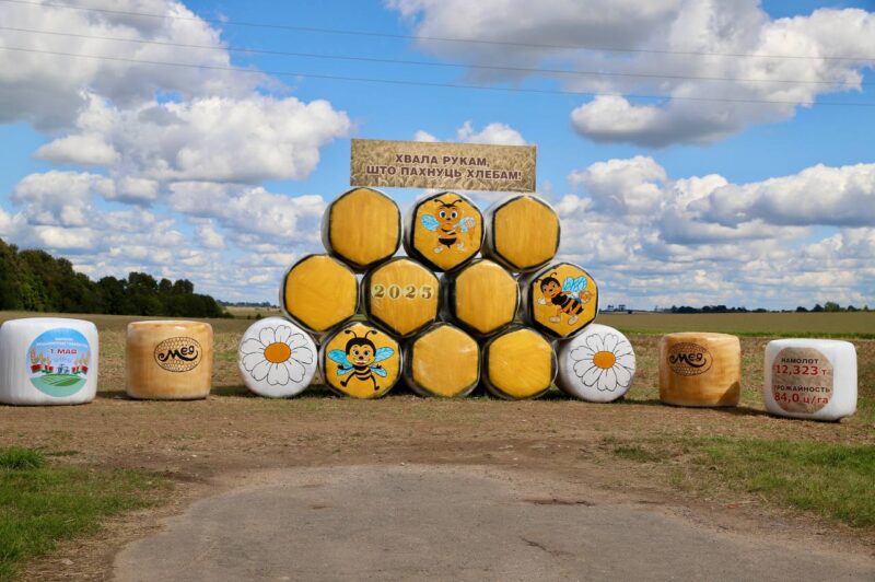 Лучшая соломенная композиция