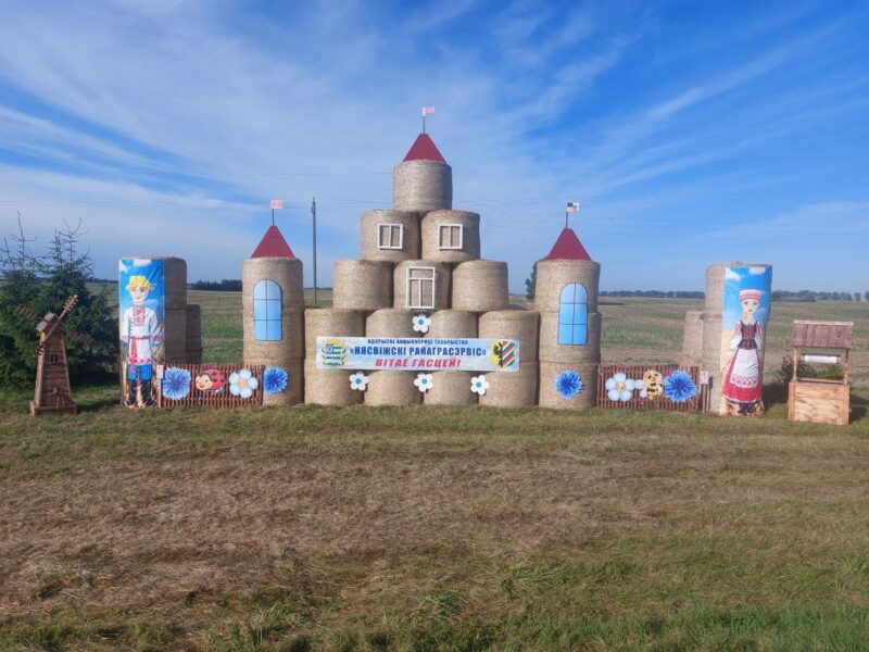 Лучшая соломенная композиция