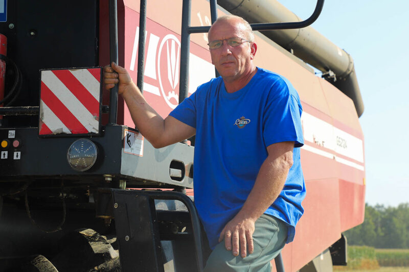 На палях раёна. Кастрычніцкае жніво