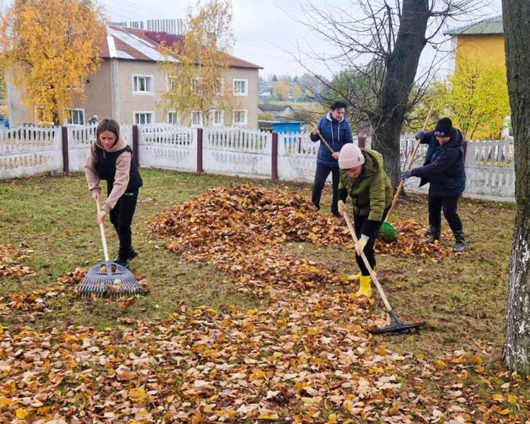 Чтобы Несвижчина стала ещё краше