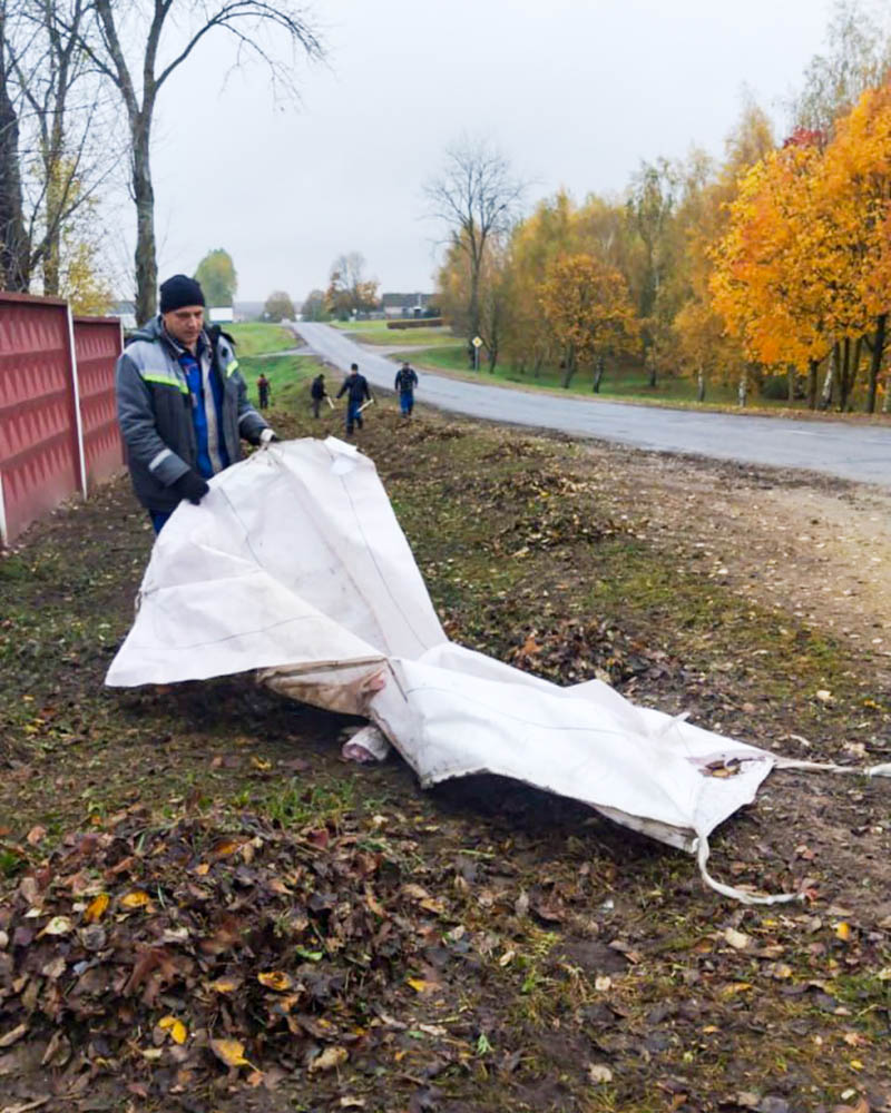 Чтобы Несвижчина стала ещё краше