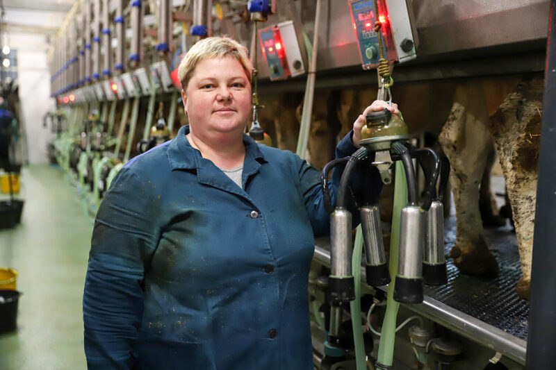 ГП «Экспериментальная база «Свекловичная»: стабильный результат