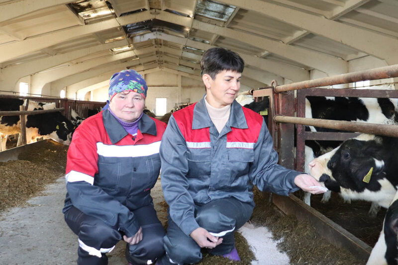 ОАО «Несвижские Островки»: успех, построенный на профессионализме и преданности делу