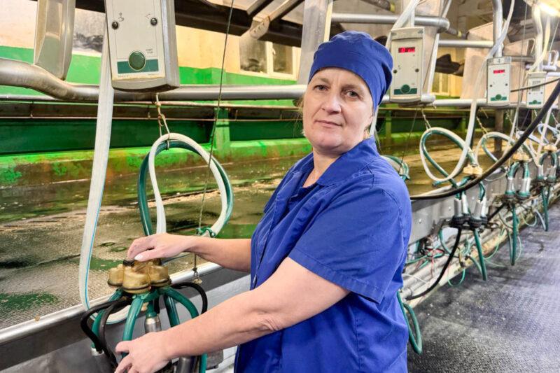 Жывёлагадоўля раёна за 2025 год: вытворчасць малака — плюс 7,4 працэнта