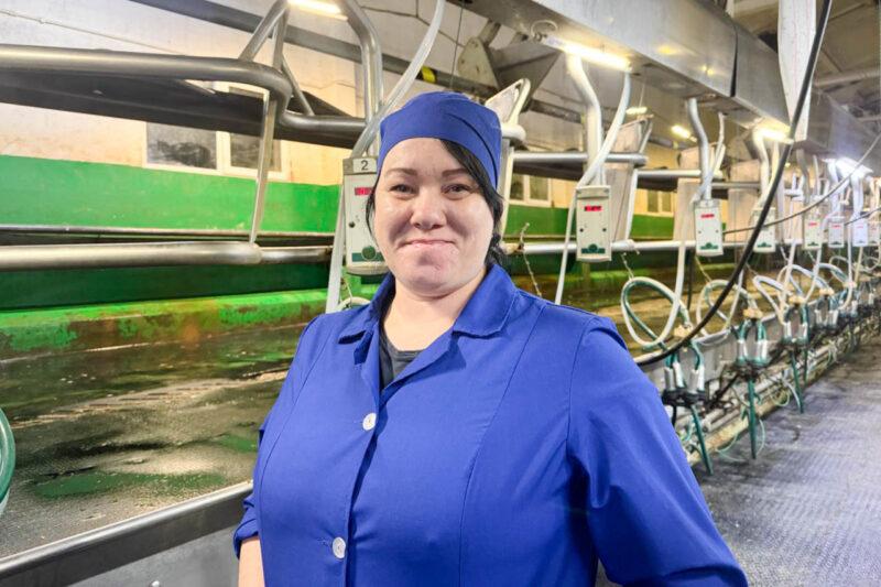 Жывёлагадоўля раёна за 2025 год: вытворчасць малака — плюс 7,4 працэнта