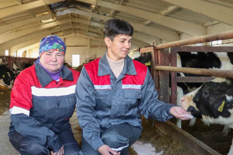 Указ «О развитии мясной отрасли» воспринят с большим энтузиазмом в «ОАО «Несвижские Островки»