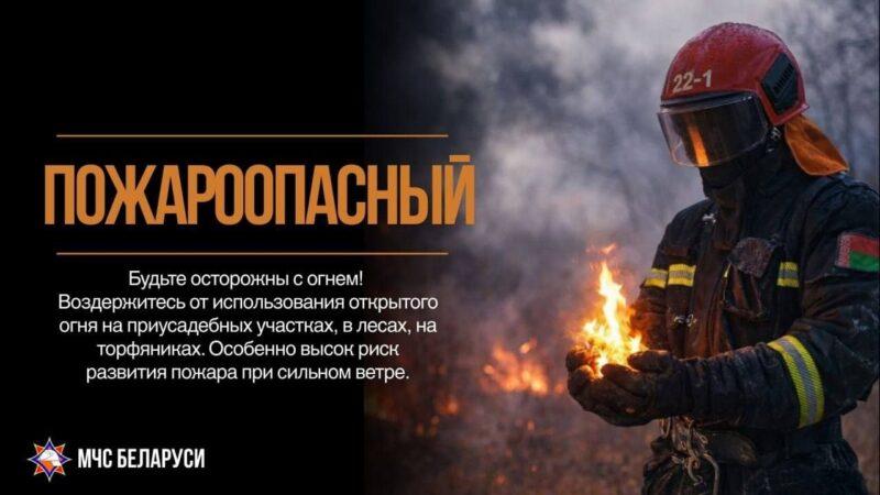Палы – одна из самых опасных и коварных причин природных пожаров? yfgjvbyf.n