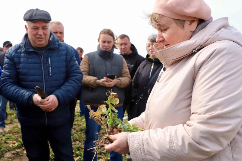 В сочетании науки и практики: на базе ОАО «Лань-Несвиж» состоялся районный семинар по актуальным вопросам сельского хозяйства