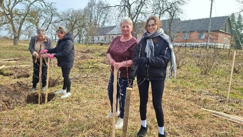 Символ связи поколений: на территории Несвижского социального пансионата «Берёзка» появился молодой яблоневый сад