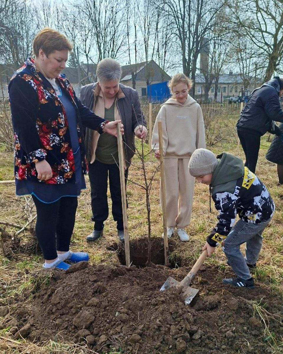 Символ связи поколений: на территории Несвижского социального пансионата «Берёзка» появился молодой яблоневый сад