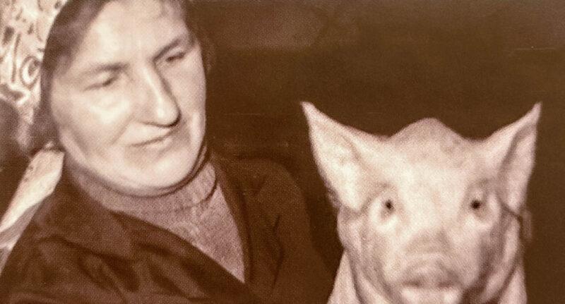 З пачуццём уласнай патрэбнасці: Алена Сцепановіч