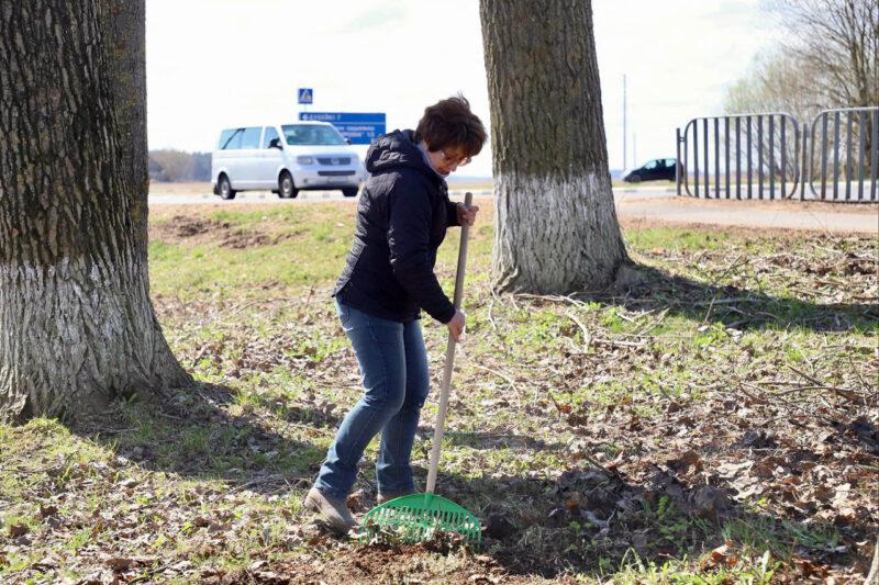 В Ланском сельском cовете прошёл субботник