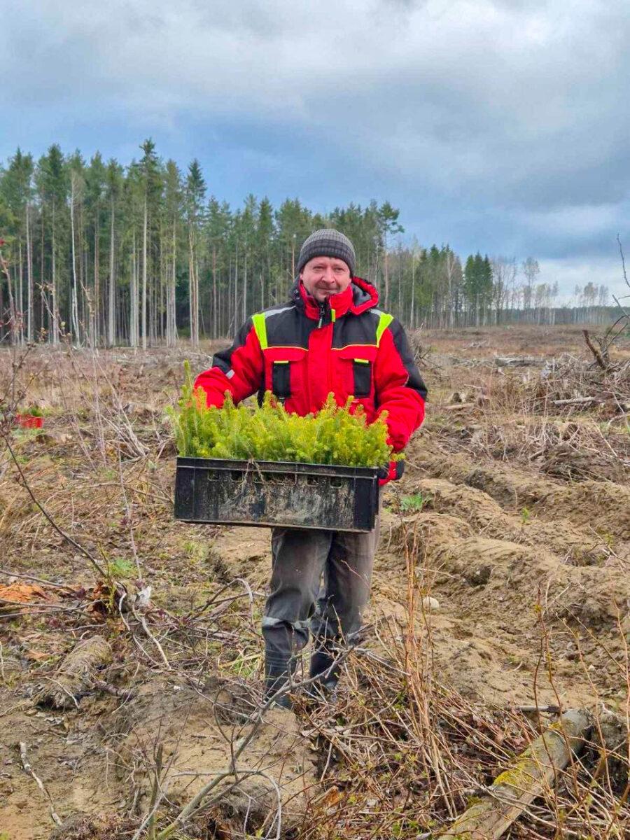 «Лес! Дабро! Парадак!»: на Несвижчине появится 53 гектара новых лесов