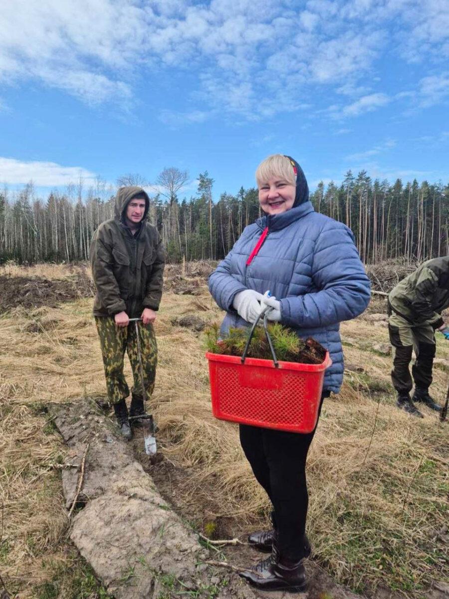 «Лес! Дабро! Парадак!»: на Несвижчине появится 53 гектара новых лесов