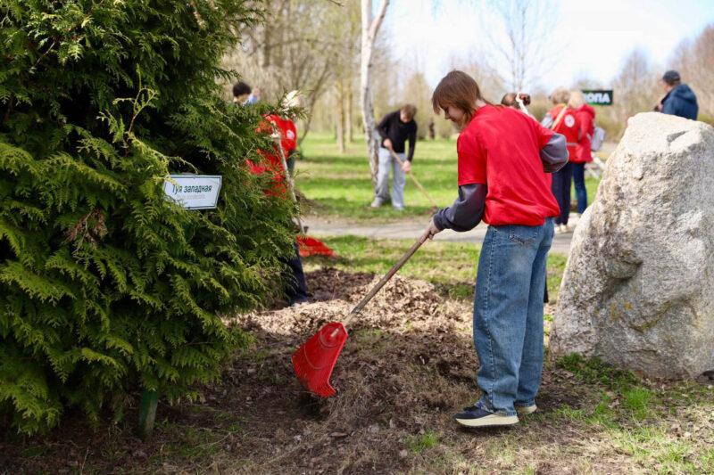 В Несвиже стало чище и зеленее благодаря добрым сердцам! Фотофакт