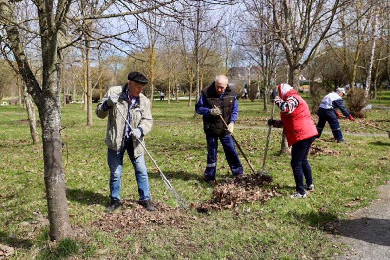 В Несвиже стало чище и зеленее благодаря добрым сердцам! Фотофакт