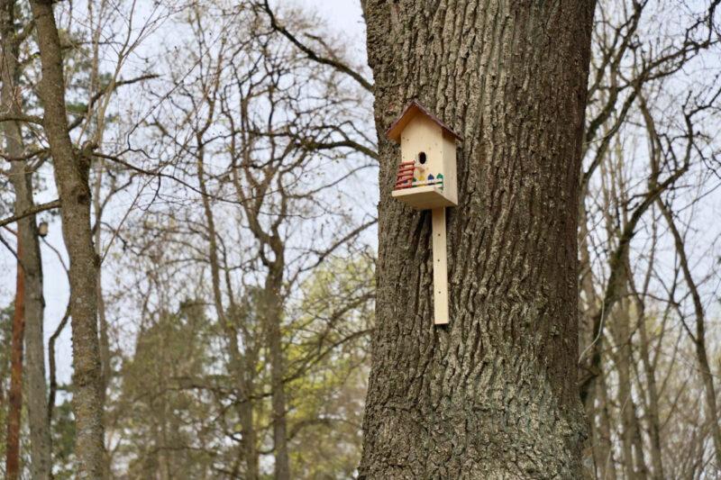 Новые скворечники от школьников района появились в несвижском городском парке в рамках экологического форума