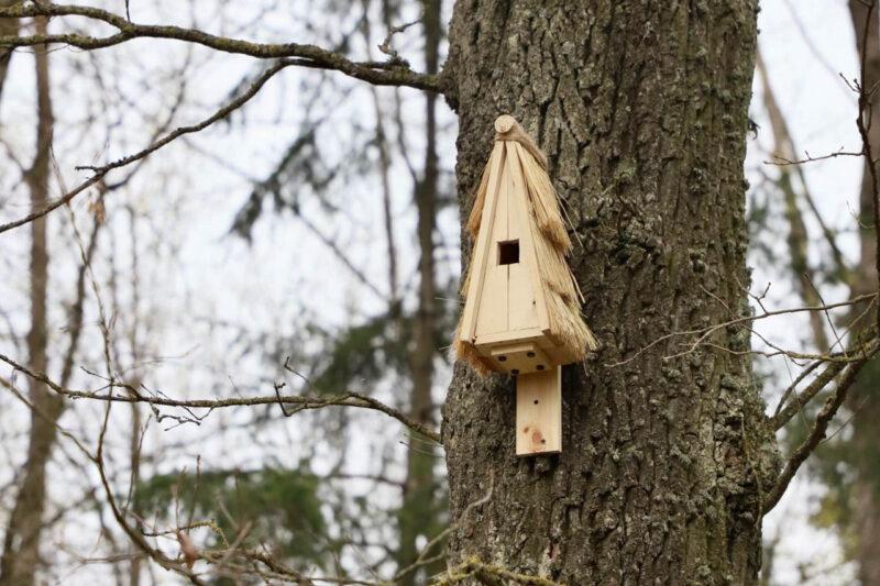 Новые скворечники от школьников района появились в несвижском городском парке в рамках экологического форума