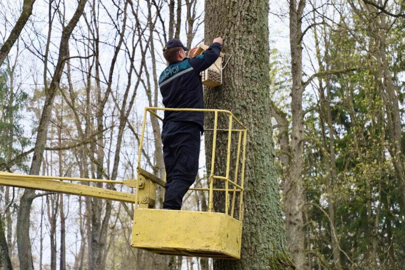 Новые скворечники от школьников района появились в несвижском городском парке в рамках экологического форума