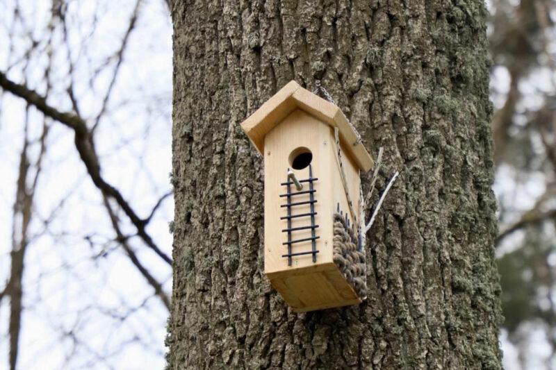 Новые скворечники от школьников района появились в несвижском городском парке в рамках экологического форума