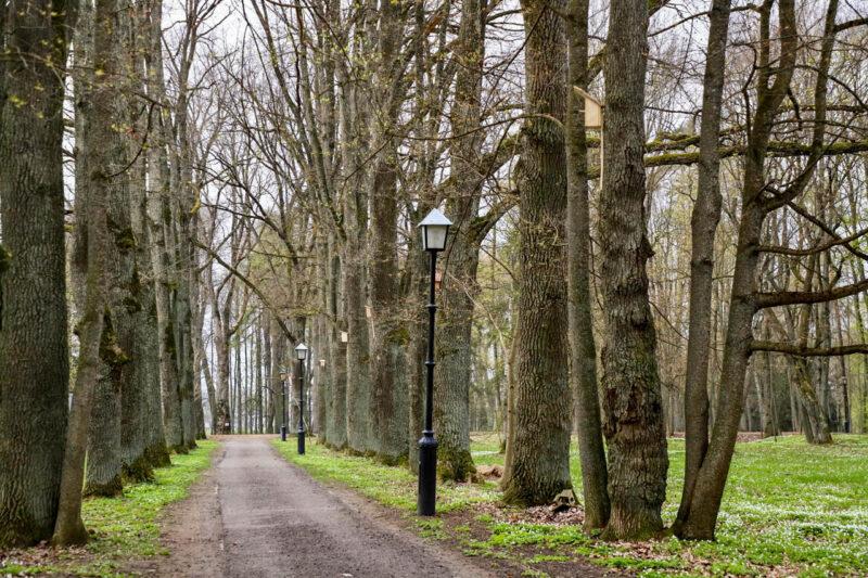 Новые скворечники от школьников района появились в несвижском городском парке в рамках экологического форума