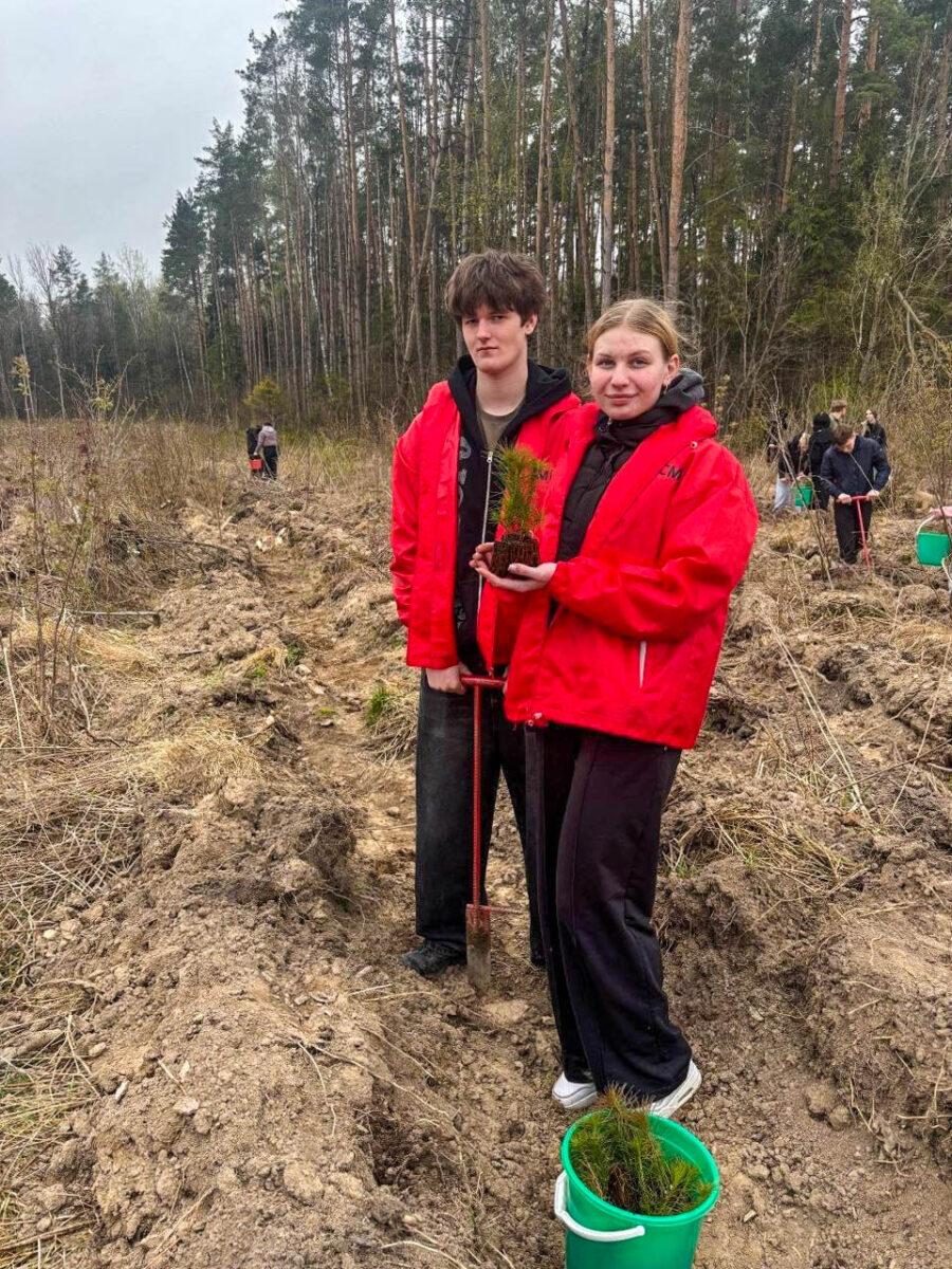 Молодёжь Несвижчины поддержала республиканскую акцию «Лес! Добро! Порядок!». Фотофакт