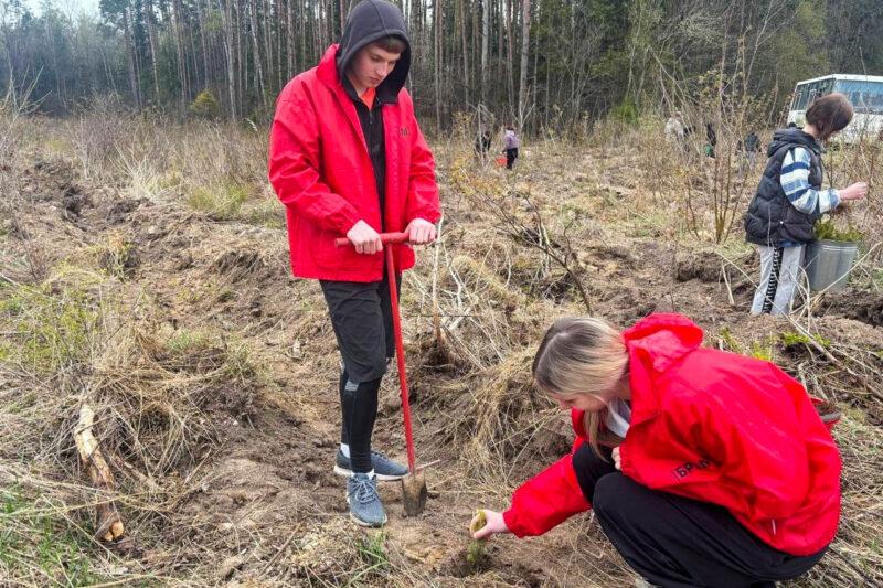 Молодёжь Несвижчины поддержала республиканскую акцию «Лес! Добро! Порядок!». Фотофакт