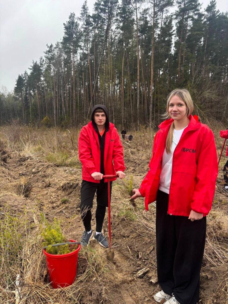 Молодёжь Несвижчины поддержала республиканскую акцию «Лес! Добро! Порядок!». Фотофакт