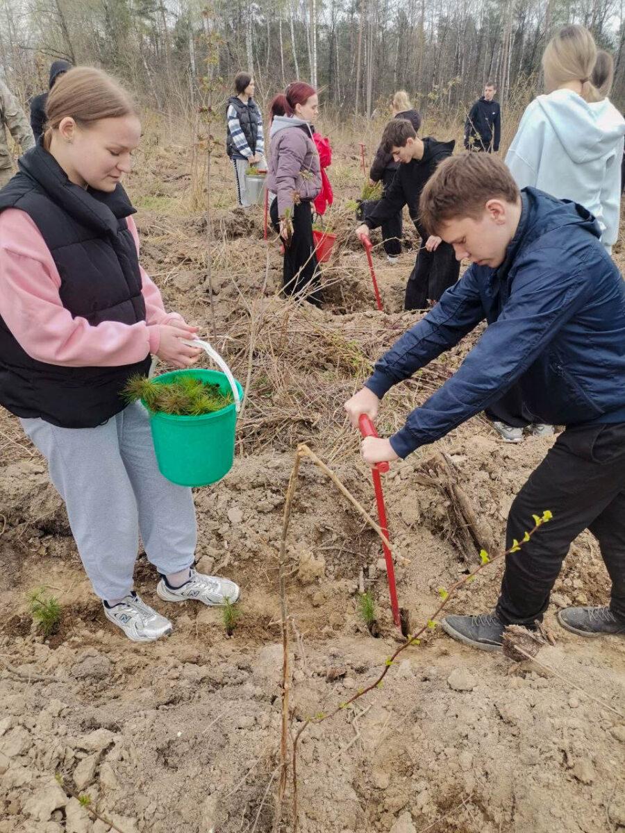 Молодёжь Несвижчины поддержала республиканскую акцию «Лес! Добро! Порядок!». Фотофакт