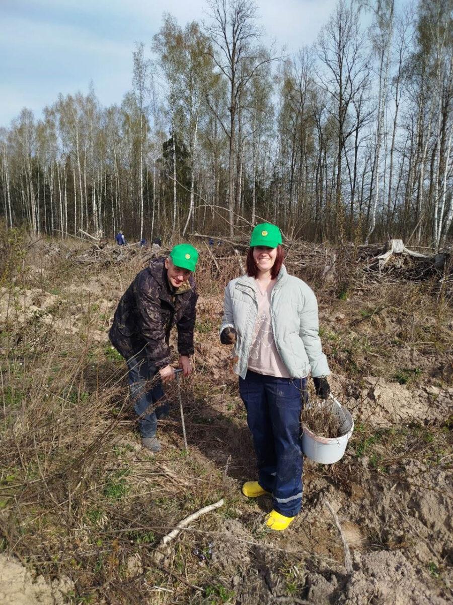 «Лес! Дабро! Парадак!»: несвижские леса становятся ещё краше. Фотофакт