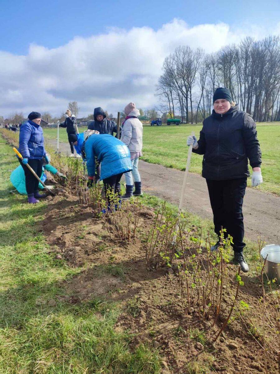 Труд на благо родной земли! На Несвижчине прошёл республиканский и районный субботник