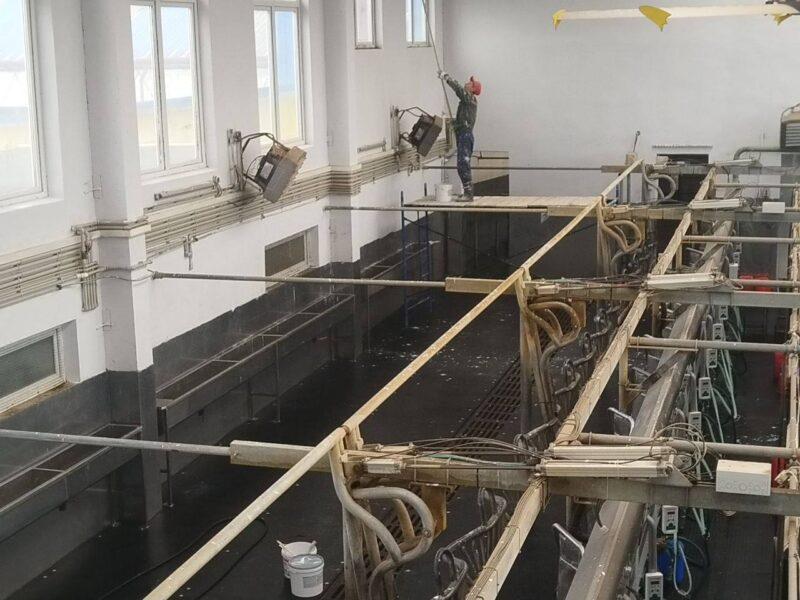 Труд на благо родной земли! На Несвижчине прошёл республиканский и районный субботник