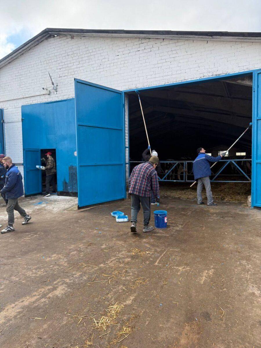 Труд на благо родной земли! На Несвижчине прошёл республиканский и районный субботник