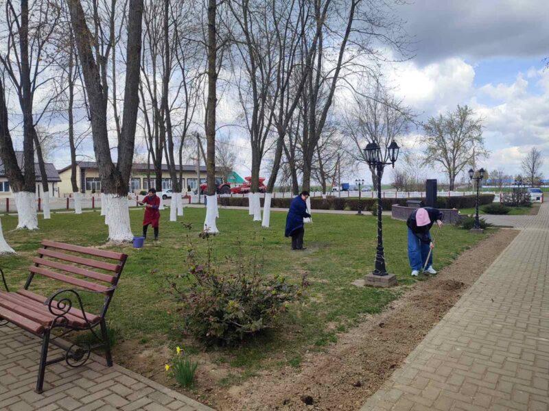 Труд на благо родной земли! На Несвижчине прошёл республиканский и районный субботник