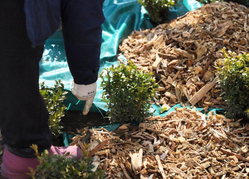 Труд на благо родной земли! На Несвижчине прошёл республиканский и районный субботник