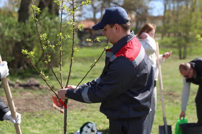 В Несвиже состоялась торжественная церемония открытия общественного пространства «Женщины ЖКХ — вместе»