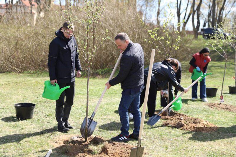 В Несвиже состоялась торжественная церемония открытия общественного пространства «Женщины ЖКХ — вместе»