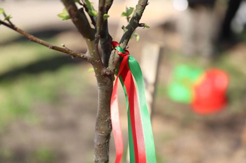 В Несвиже состоялась торжественная церемония открытия общественного пространства «Женщины ЖКХ — вместе»