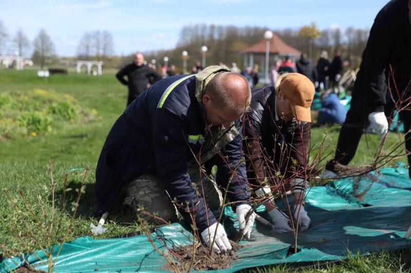 В Несвиже состоялась торжественная церемония открытия общественного пространства «Женщины ЖКХ — вместе»