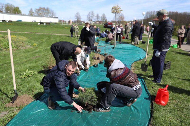 В Несвиже состоялась торжественная церемония открытия общественного пространства «Женщины ЖКХ — вместе»